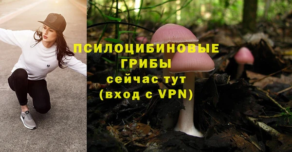 apvp Рославль