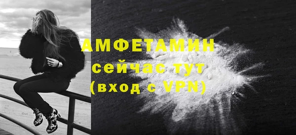 apvp Рославль