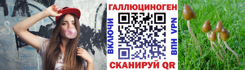 Псилоцибиновые грибы мухоморы Туран